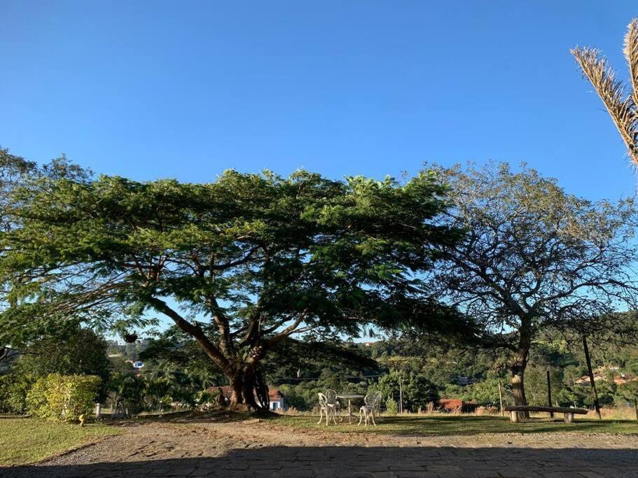 Quarto Dos Vinhos São Roque المظهر الخارجي الصورة